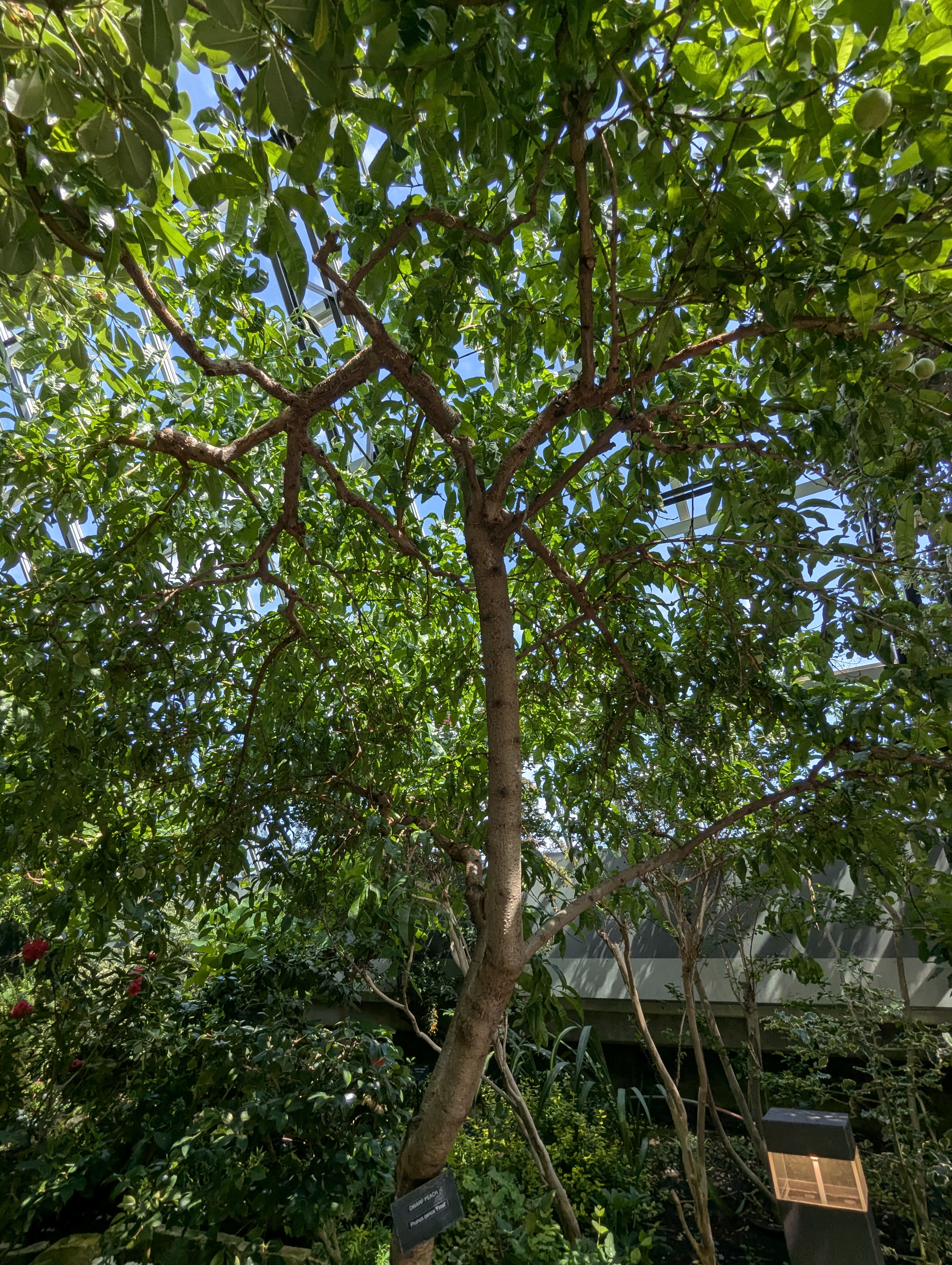 Birthday Trip to Canada, Edmonton, Pyramids, Muttart Observatory